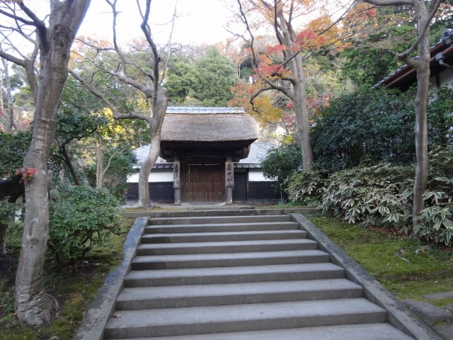 円覚寺8
