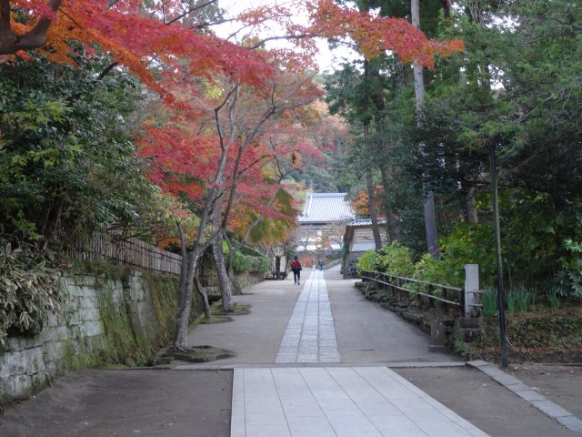円覚寺9