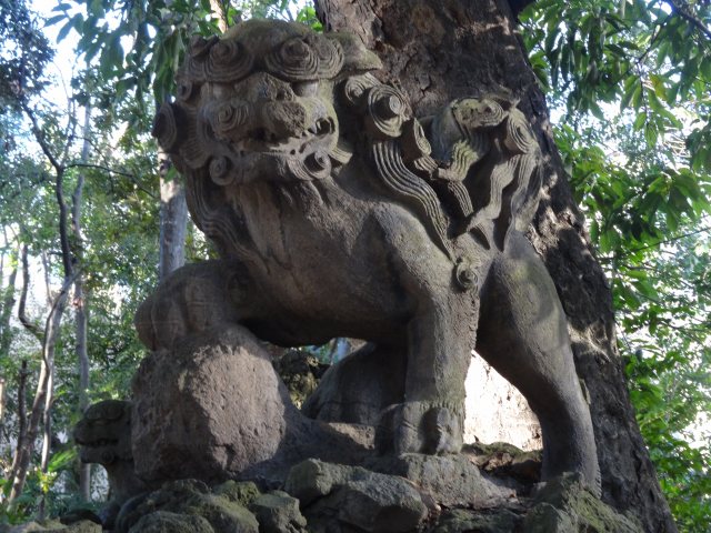 赤坂氷川神社15