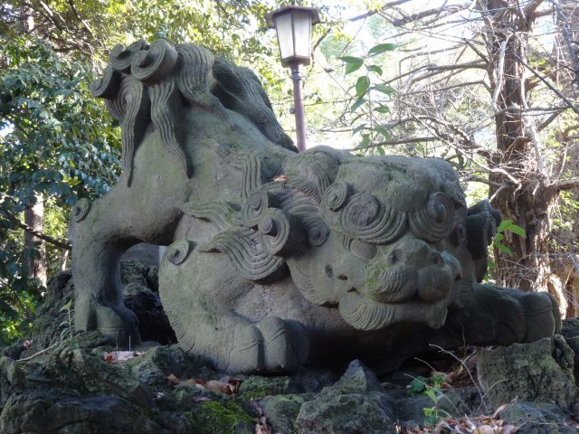 赤坂氷川神社16