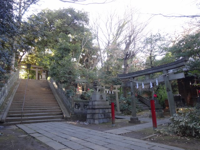 赤坂氷川神社7