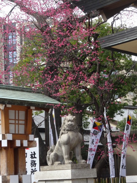 東郷神社9