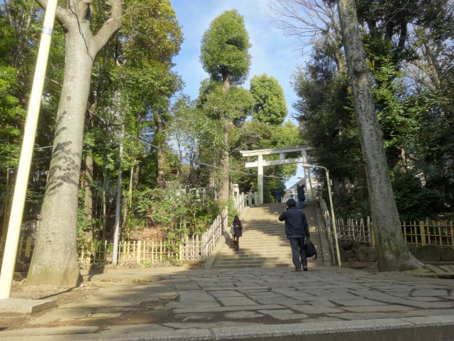 渋谷氷川神社2