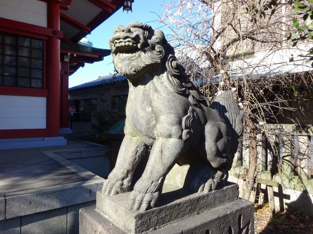 筑土八幡神社11