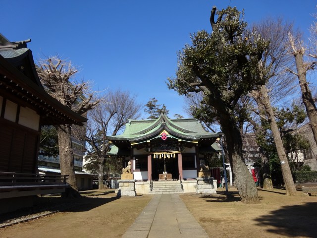 氷川神社5