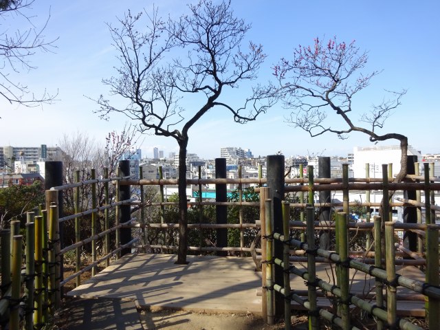 池上梅園8