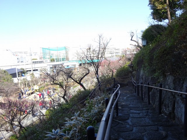池上梅園9