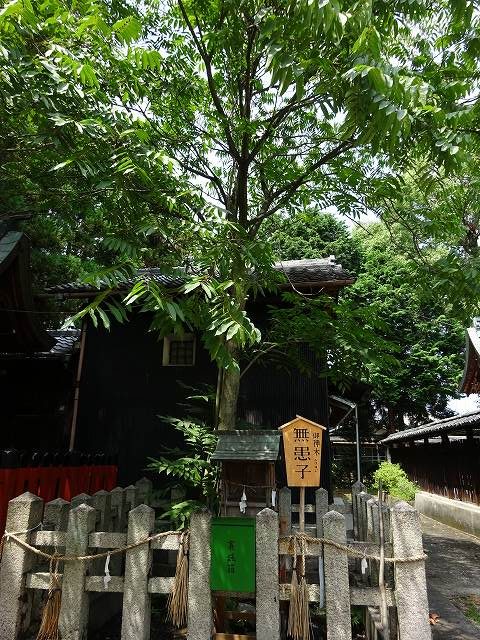 伊豆神社8