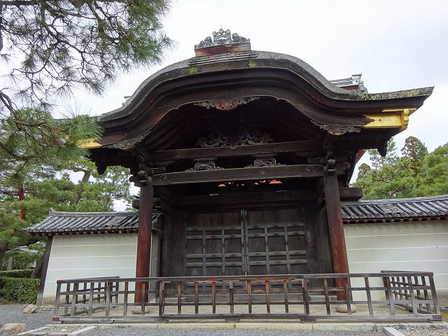 大徳寺5