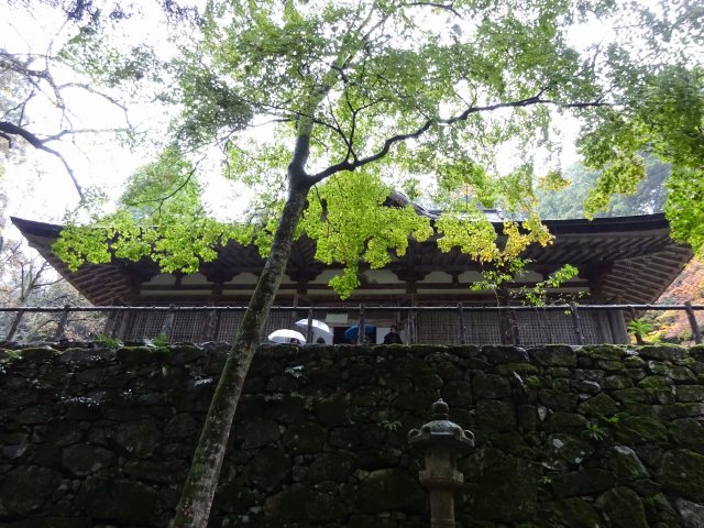 百済寺27