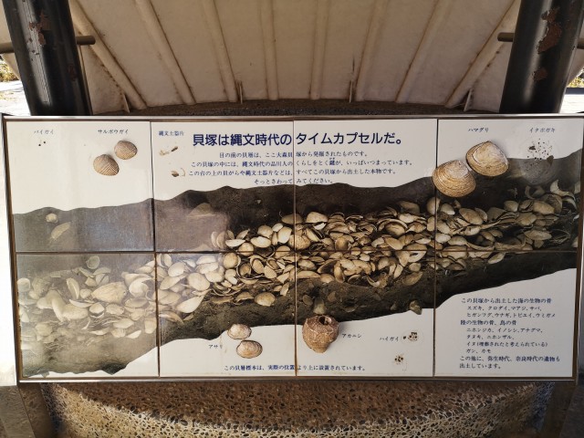 大森貝塚遺跡公園8