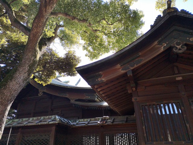 大井鹿嶋神社16