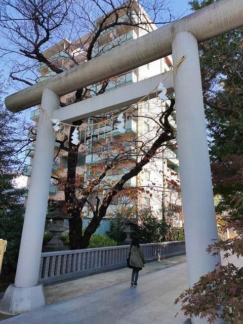 松戸神社1
