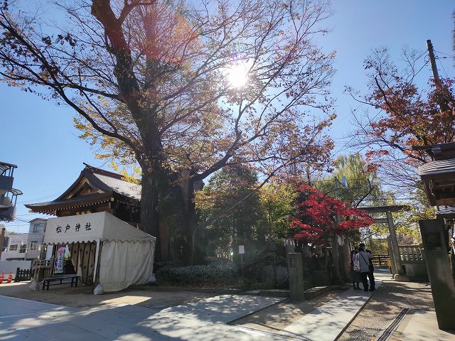 松戸神社16
