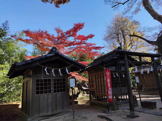 松戸神社8