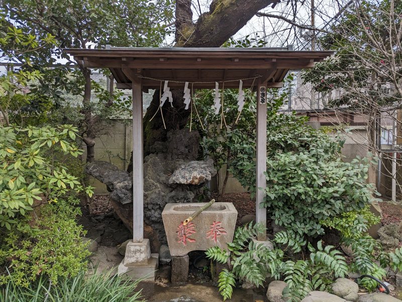 染井稲荷神社3