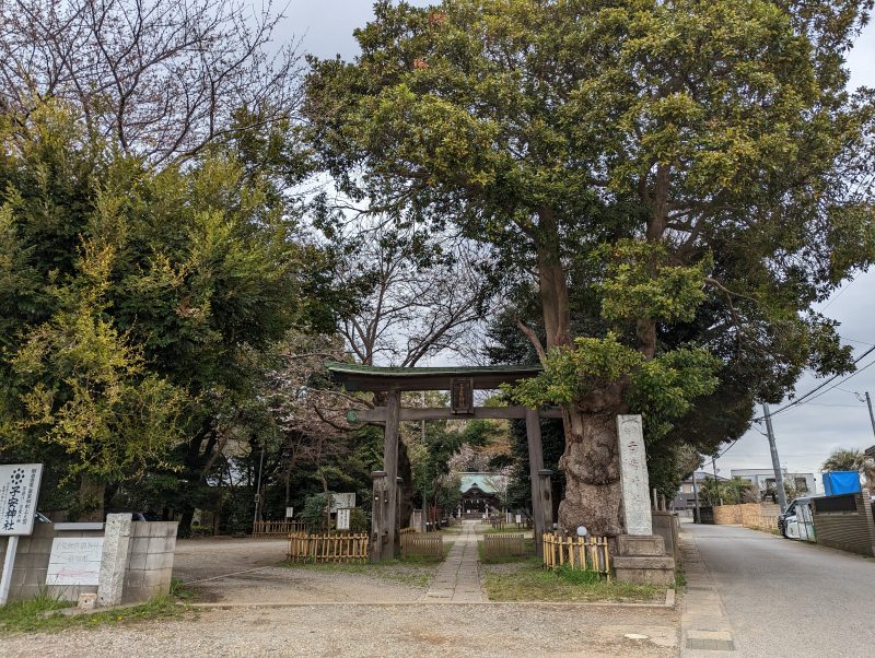 畑子安神社2