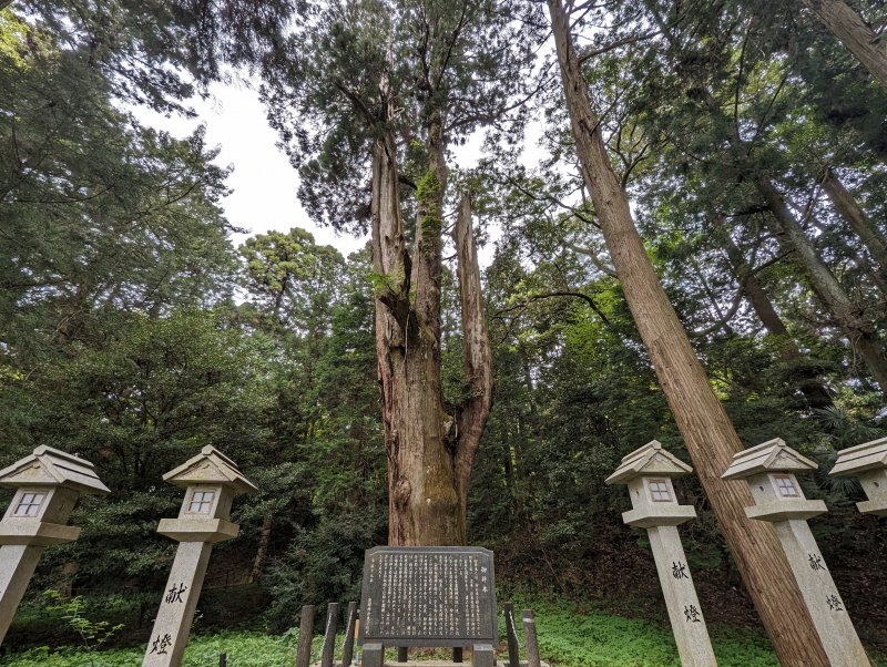 瀧樹神社19