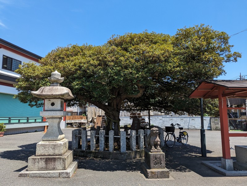 多摩川諏訪神社16