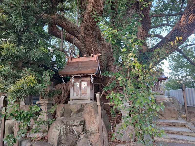 金岡神社2