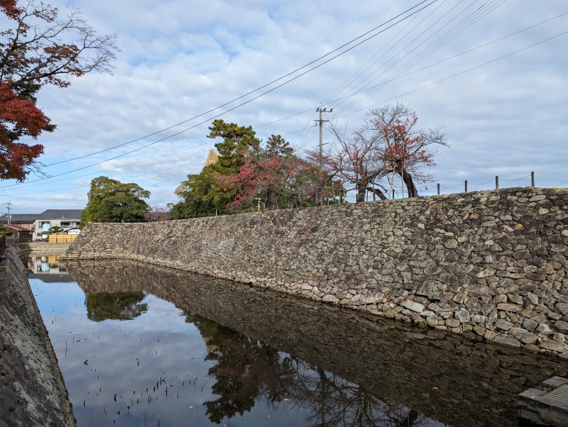 中津城 本丸南側 黒田孝高築城期の石垣