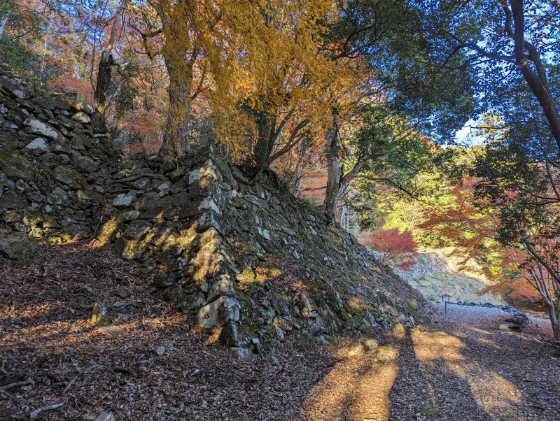 角牟礼城南西側連続穴太積み石垣