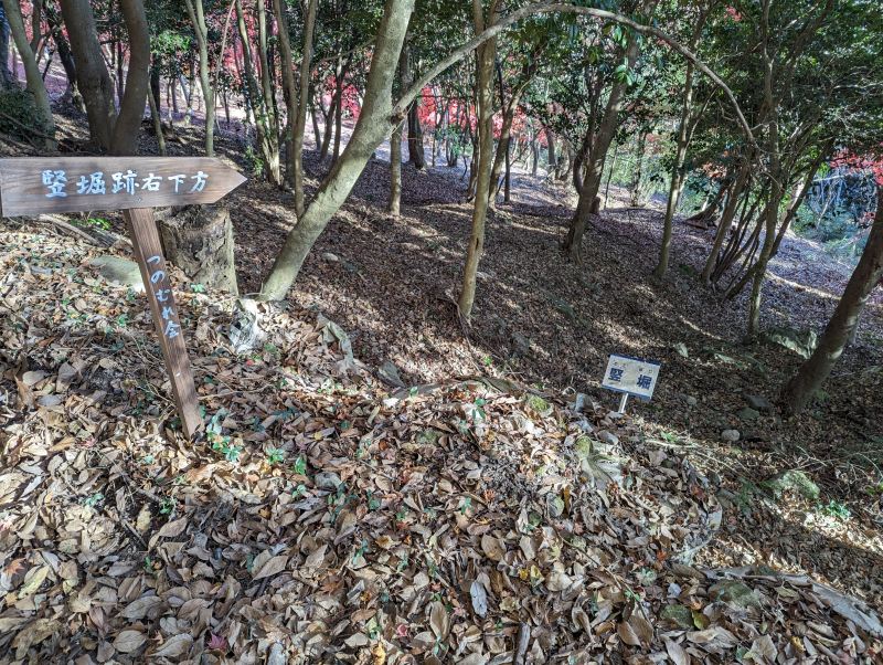 角牟礼城登山道の竪堀付近