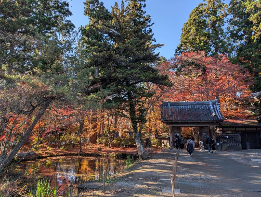 中尊寺金色堂14