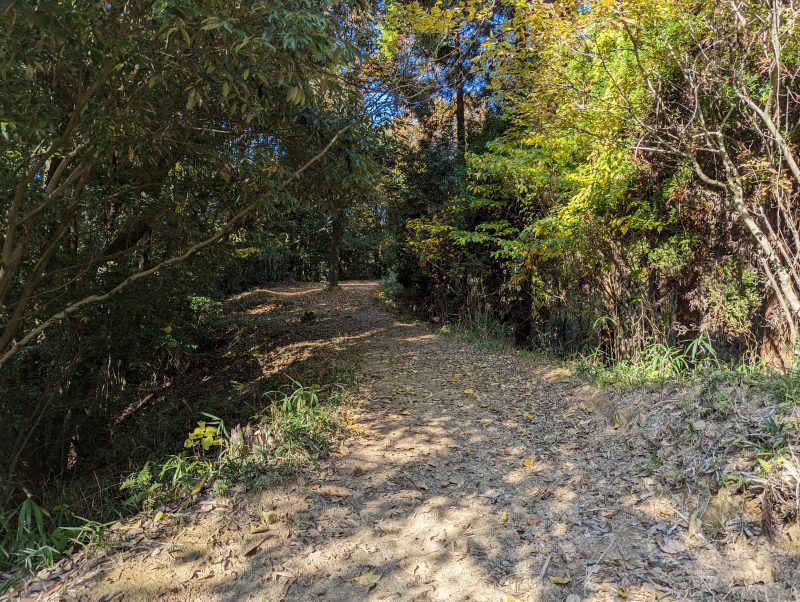 鞠智城 西側土塁、斜面に沿った土の防御壁