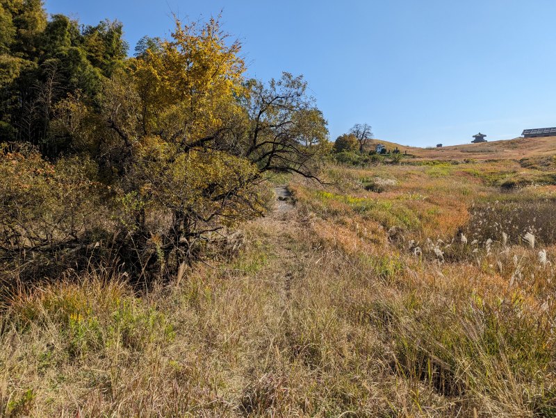 鞠智城 貯水池跡、古代山城の水確保施設