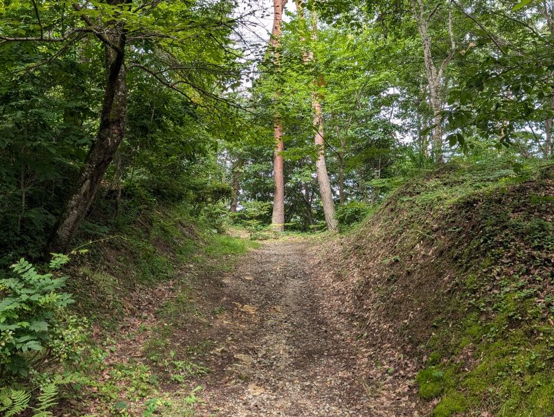 向羽黒山城跡の山並みに広がる城域の風景