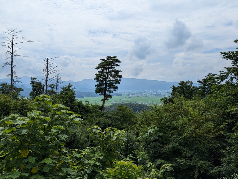 向羽黒山城跡 一曲輪（本丸跡）の平坦地と土塁跡