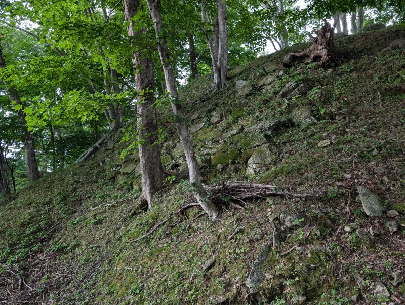 三春城跡 本丸全景