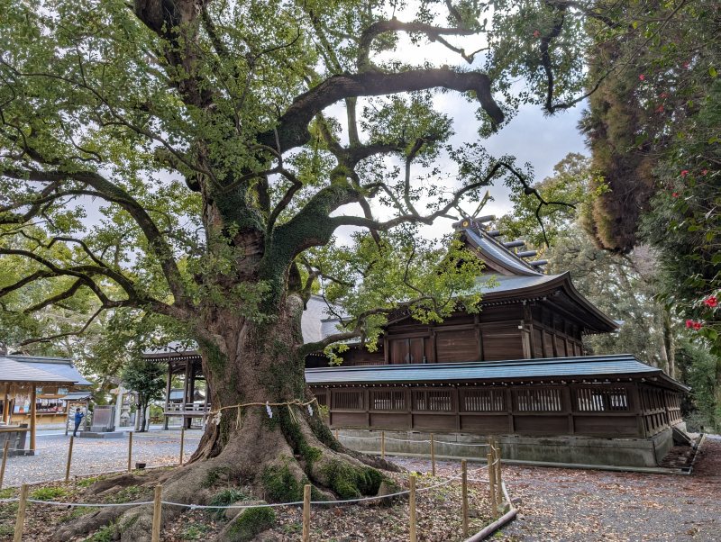 千栗八幡宮 本殿