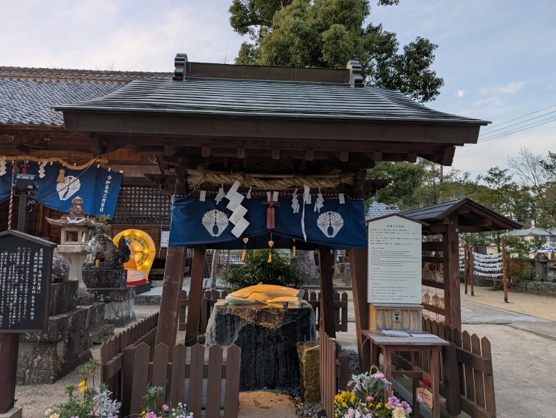 豊玉姫神社 なまずお社
