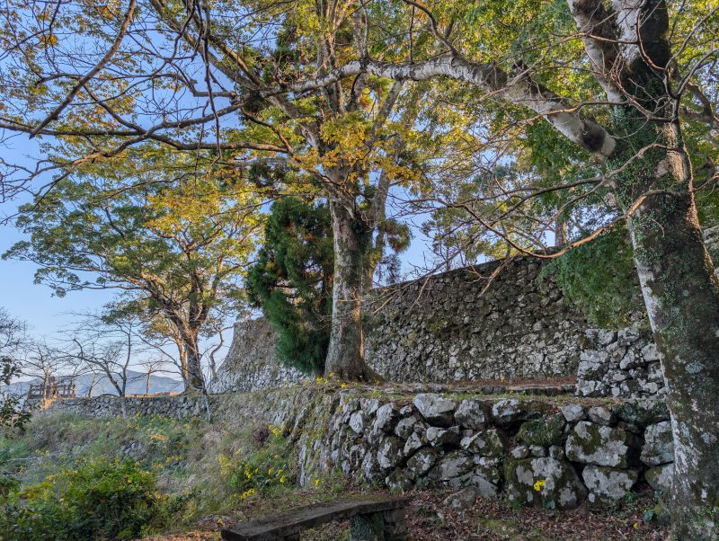 佐伯城跡 本丸付近の石垣風景