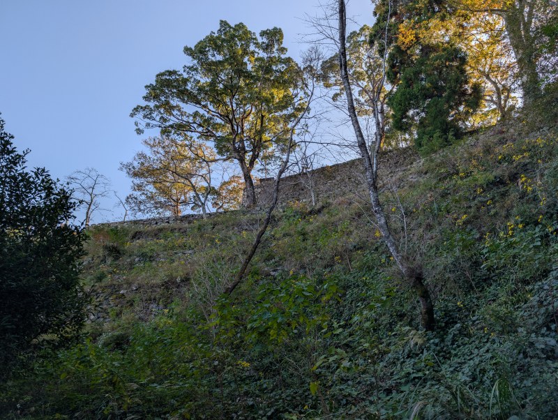 佐伯城 雛壇状石垣 四段構造