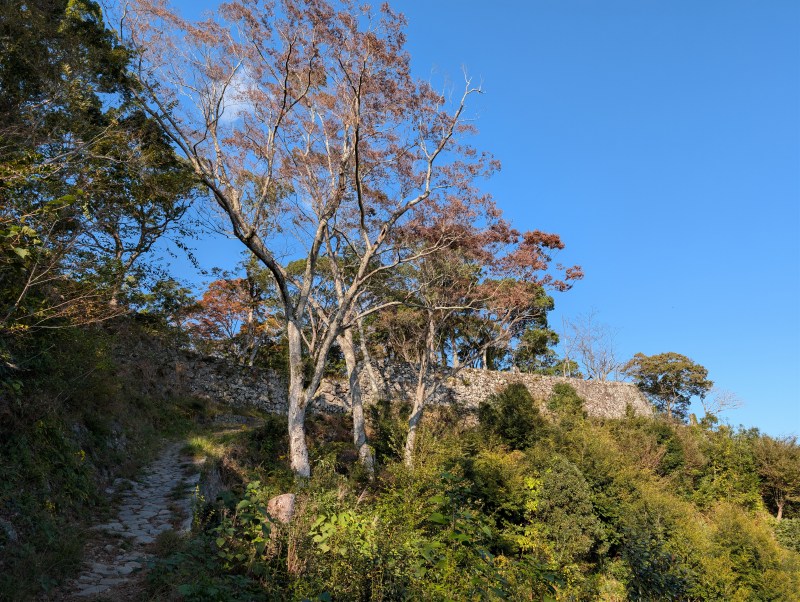佐伯城 登城道沿いの野面積み石垣と階段状構造