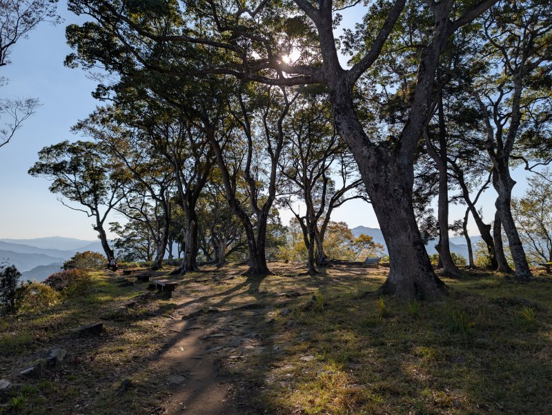 佐伯城 西出丸からの眺望