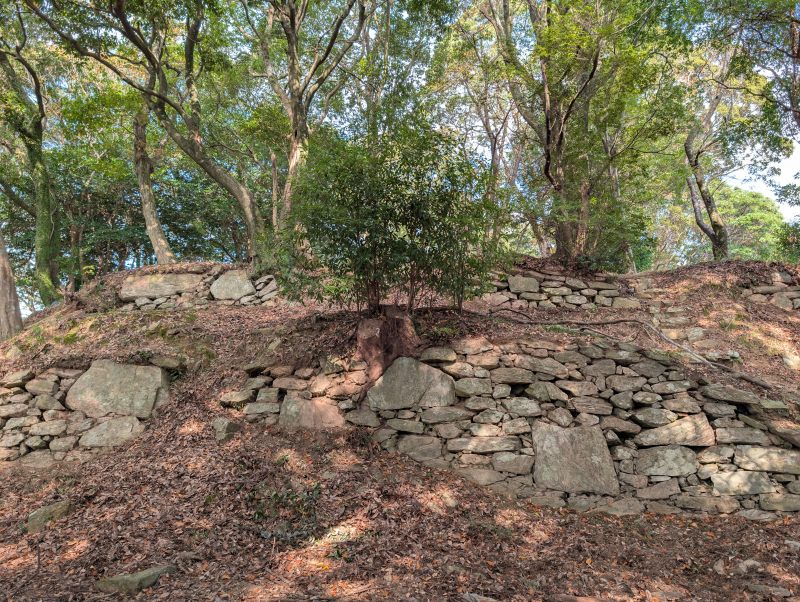 段々に積まれた石垣