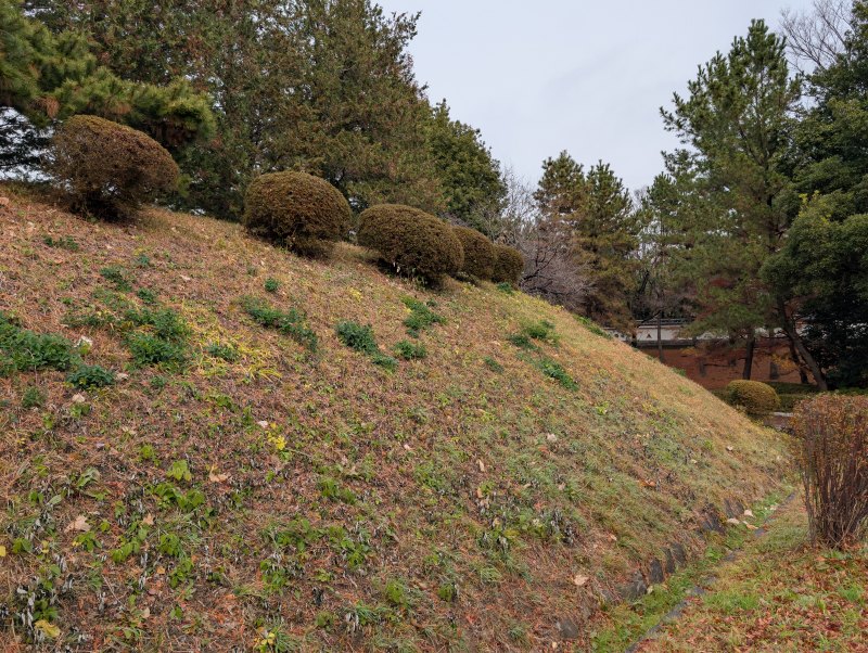 忍城本丸西側の土塁