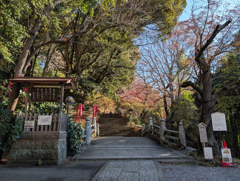 唐沢山城 四つ目堀の堀底