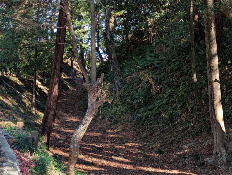 唐沢山城 堀切の急斜面