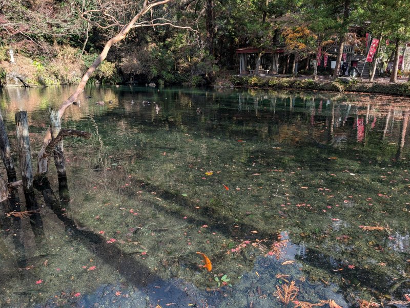 出流原弁天池 名水百選 磯山弁財天