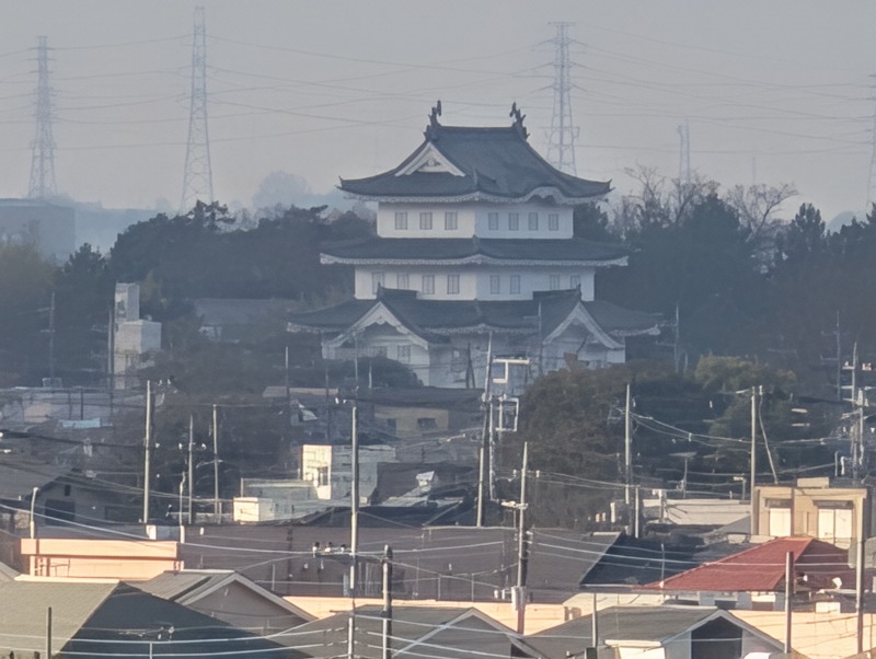 丸墓山古墳から見た忍城方向の眺望