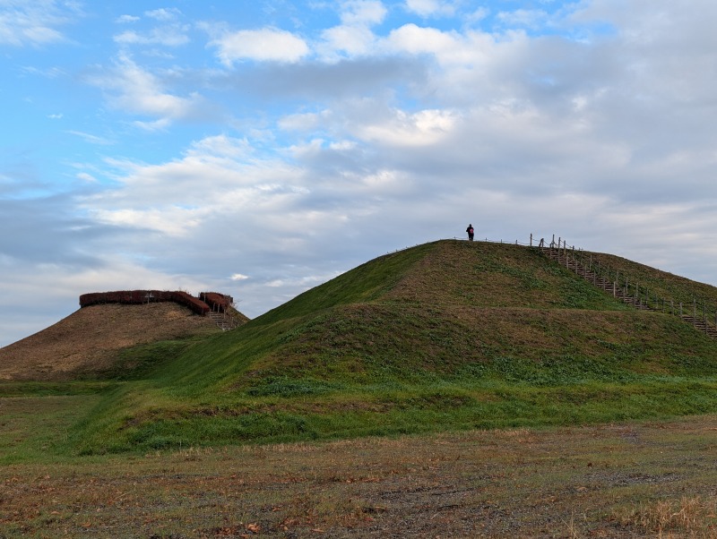 さきたま古墳公園の全景