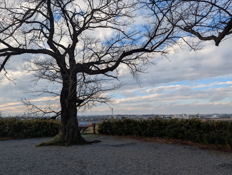 丸墓山古墳の頂上付近