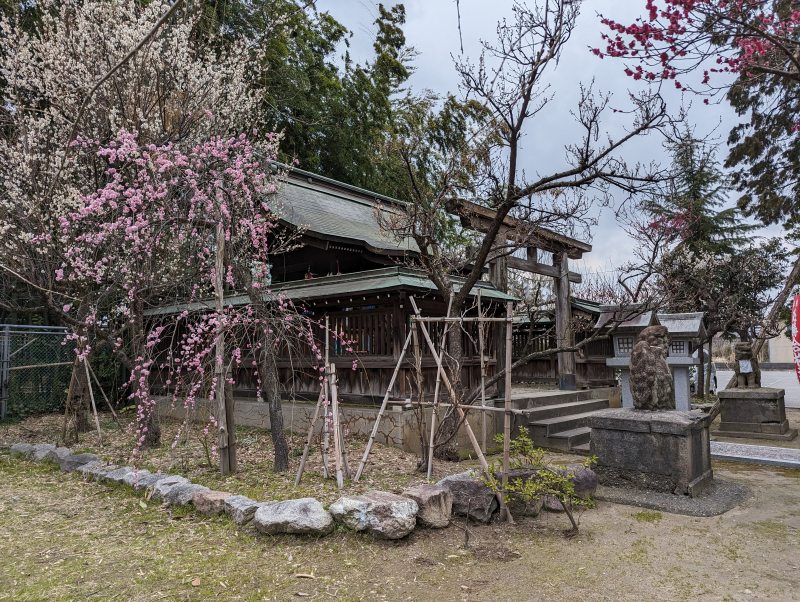 五泉八幡宮 境内社 古峯神社 稲荷神社