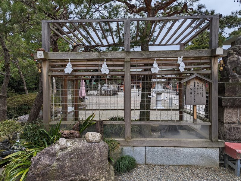五泉八幡宮 高雲殿 ニホンイシガメ 亀の池