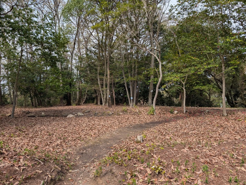 本丸跡の平坦地と遺構の様子